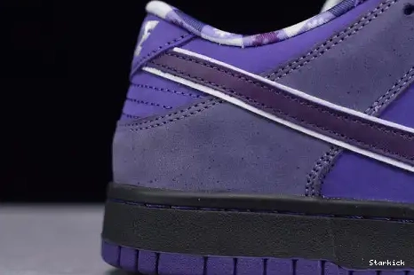Concepts Purple SB Nike Low Lobster Dunk BV1310-555 0707
